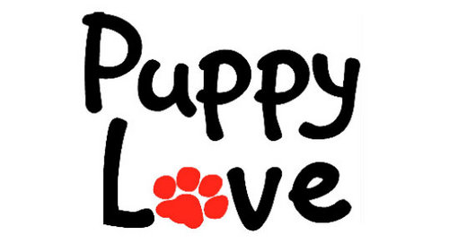 puppy love pet store