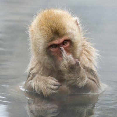 bhuznuz's profile picture. I was born to embark on a journey ,run my own race and be happy while I’m at it