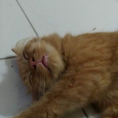 @ObatPertama