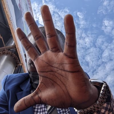 HamGaucho10's profile picture. 