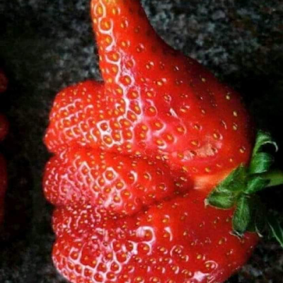 SbahtuTeklit's profile picture. Jeg er snill og glad person