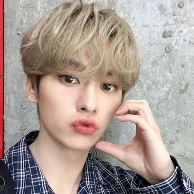 01' / #lovestayalltheway 🍀 // my existence is powered by skz 🧭