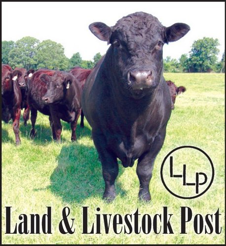 The Land & Livestock Post is an agricultural publication that covers all aspects of the ag industry.