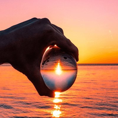 dsteyn1905's profile picture. 