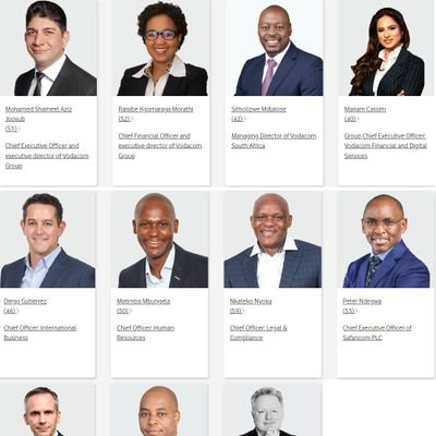Founder and Chief Executive Officer
-Earth Energies GROUP
-NGWANE CAPITAL 
-My Neighborhoods (tech start-up)
-Wealth Investor
-Art collector
-Activist Investor
