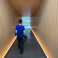 ゆすらうめ (@_natsumi_728) 's Twitter Profile