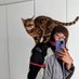 Sara (@st_esquius) Twitter profile photo Sara (@st_esquius) Twitter profile photo