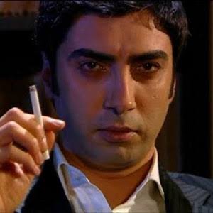 Kurtların Vadisi 