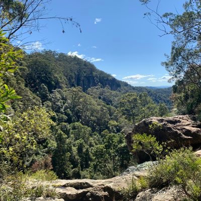 ryanjayyy23's profile picture. 