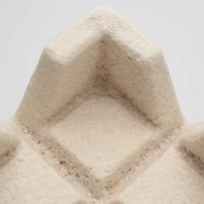 biofab_bio's profile picture. 