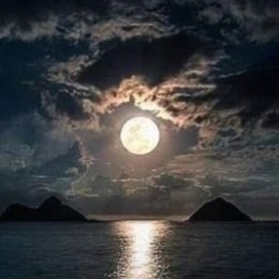 cancancan3169's profile picture. Boşver anı yaşa. Neyin kavgasını yapıyorsun. Hiç bişey bizim değil. Boş konuşmayın biraz ciddiye alın. Gün gelir şakasını yapar 😊