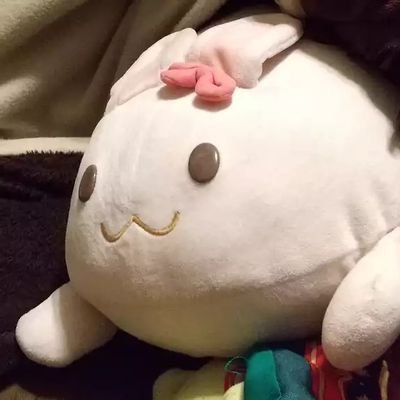 usagisan0415's profile picture. _꒰(・×・_∪🎀꒱ )ο名前ﾊ、 ﾏｷﾋﾞｼ  ﾅﾉﾖ! 生息域ﾊ おんjﾅﾉﾖ!