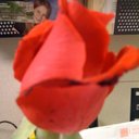 Kathy Wortman - @kaw09 - Twitter