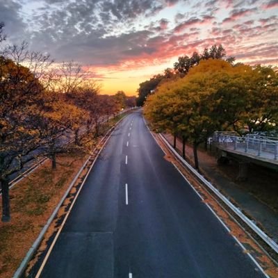 SayItloud111's profile picture. I make art not to become a millionaire but to spark conversations, and as proof of  cure in walking through a daily depression.
" Once I liked, I fell in love "