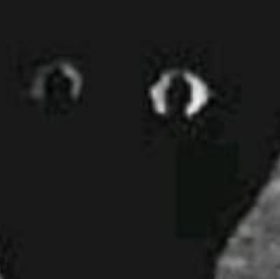 ultraman_liker's profile picture. I like roblos👍