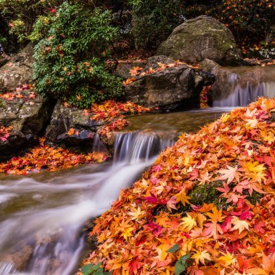 petereckold's profile picture. 