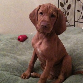 BrooksieFL's profile picture. 