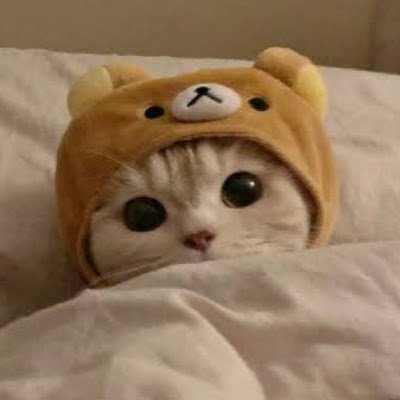 emirbesirx's profile picture. 