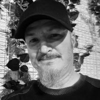 Mike War (@oboingo) 's Twitter Profile