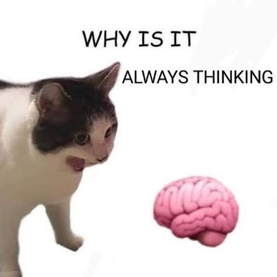 sevakasinthama's profile picture. Always RIGHT
