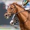 地方競馬-中央競馬問わずに平場の競馬予想を専門に行っております。noteにて毎日各レースの予想を掲載しております!また、こちらからnoteでは掲載していないレースの軸馬を配信しています。是非、お見逃しなく!
