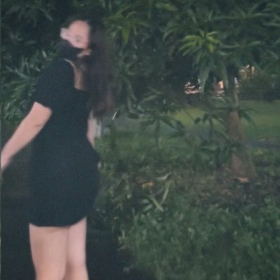 kattapales's profile picture. 