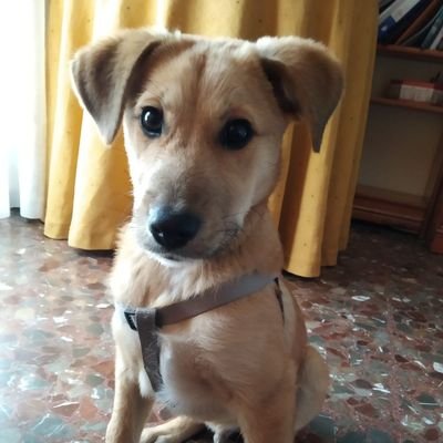 A veces hackeo cosas y las escribo en Who is secure
https://t.co/oykqA5EUoC…