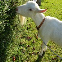 まきびー🍍🍉🍓🍇 (@vvsdejyqpuflgyn) 's Twitter Profile Photo まきびー🍍🍉🍓🍇 (@vvsdejyqpuflgyn) 's Twitter Profile Photo