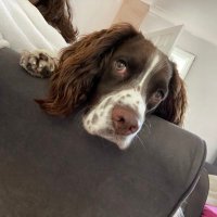 katie Thompson (@katieemma21) 's Twitter Profile Photo katie Thompson (@katieemma21) 's Twitter Profile Photo