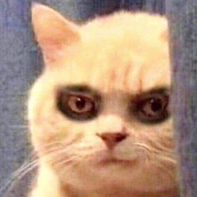 Busyinthebox's profile picture. ㉿ #consultant, X for News and obvious Fun, Exploring negative Capabilities