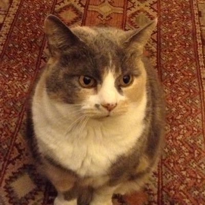 Minnie90864705's profile picture. 