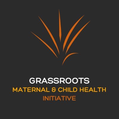 Building the capacity of individuals & communities to advance system change that improves MCH outcomes in marginalized Hoosier communities.