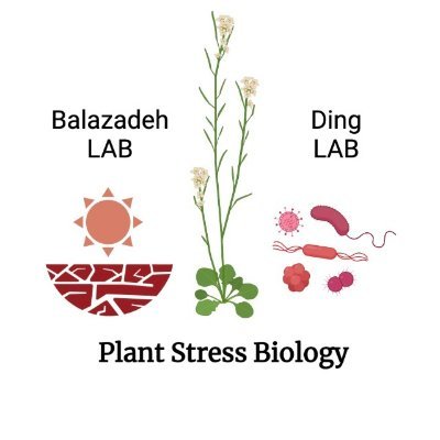 Plant Stress Biology Leiden