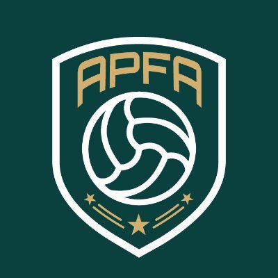 Professional Football Analysis Profile