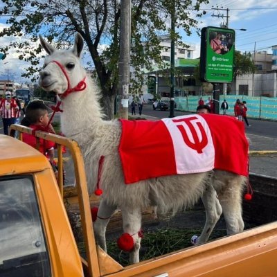 Página de apoyo al más grande de la ciudad, el que lleva AMBATO en el escudo.