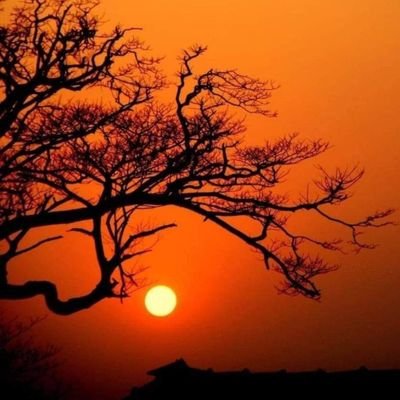 असल बन्नु एक मात्र लक्ष्य ।