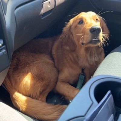 HealthcareOSRS's profile picture. No u