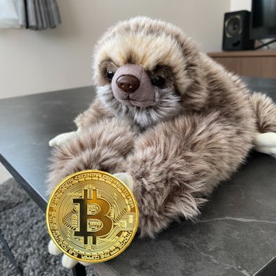 ▷27才、『節約投資に全振り』、コスパとお得が好き。₿itCoin ▷0.３枚保有。 過去に0.4枚詐欺られ全損するも、下がるたびに買い戻し起死回生中。