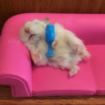 gkmmm111's profile picture. สวิตเซอร์แลนด์หน้าฝนเป็นยังไง🇨🇭 𝔹𝕋𝕊 • 𝔹𝕃𝔸ℂ𝕂ℙ𝕀ℕ𝕂 • 𝕋ℝ𝔼𝔸𝕊𝕌ℝ𝔼ℝ • ℕℂ𝕋