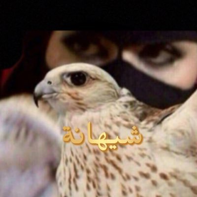 فيها وصوف الفرس و عيون شيهانه و من الظبي عاتقه و من القمر لونه 👌