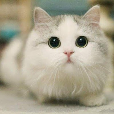 natehCandBooks's profile picture. 