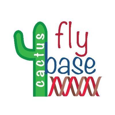 https://t.co/fDz8Qd8mhu
Cactusflybase is a genomic data repository for cactophilic Drosophila