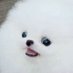 Aldrich Chang (@27375b5ac5054db) Twitter profile photo Aldrich Chang (@27375b5ac5054db) Twitter profile photo