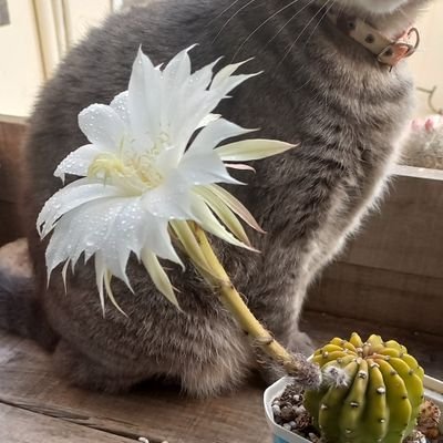 adry_syl's profile picture. Quieres conocerme mejor?
https://t.co/u7sW0oVzar