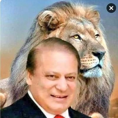 irfanShazli's profile picture. Dentist at SI Dental clinic shaheedi sar near petrol pump Chagharzi buner kpk