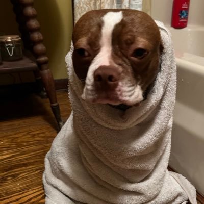 TommyFink3's profile picture. 