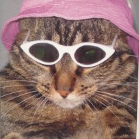 кристина патрашкова (@shamandurka) 's Twitter Profile
