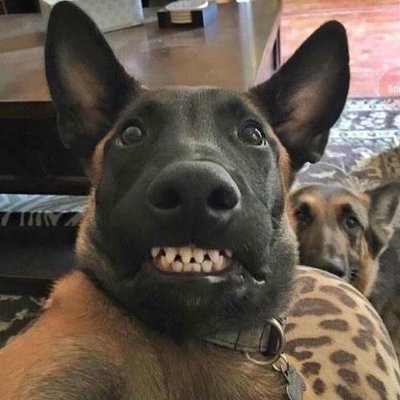 VN09844069's profile picture. 👽 🐽