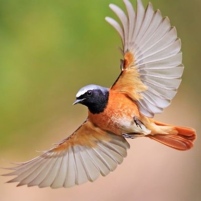 BasilnyetBasil's profile picture. Indo-Christian🇮🇳.
Cradle Lutheran now Inquiring ☦️.

The world behind me, the cross before me.