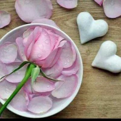 SalhAljwry's profile picture. 